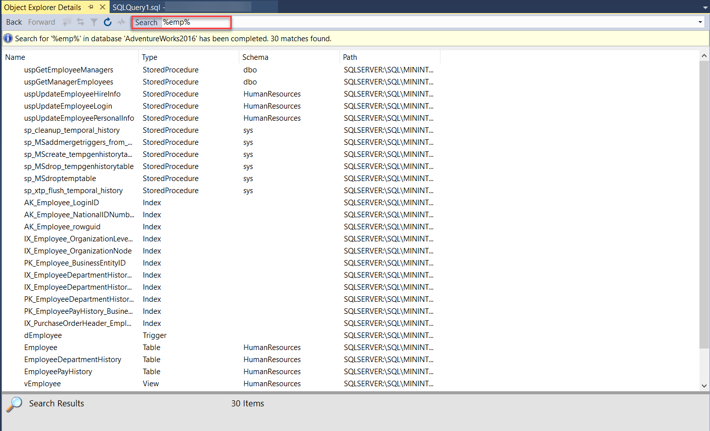 Object Explorer Search Results